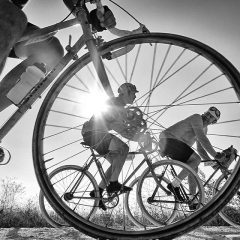 Bicycle tours in the Tuscan countryside