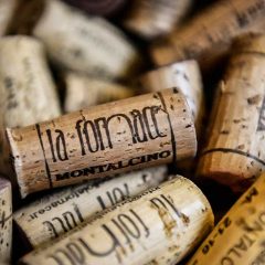 Visit Montalcino and taste amazing Brunello wine