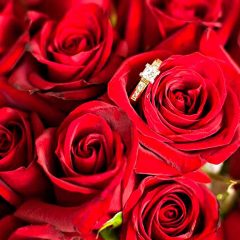 Your Wedding in Tuscany, Your special day