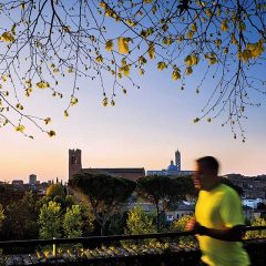 Active holidays in Siena